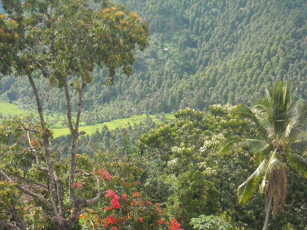 Warung Jojo And Homestay Munduk Esterno foto